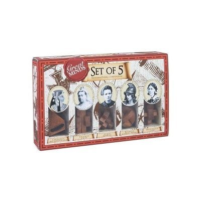 Professor Puzzle: Set of 5 Womens