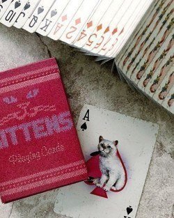Madison - Kittens (Red)