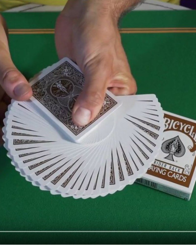 Bicycle Rückseite Braun – Spielkarten - Bild 3 von 3