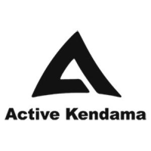 Active Kendama