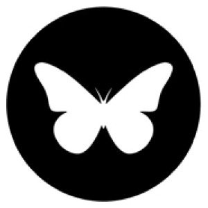 Butterfly Playing Cards